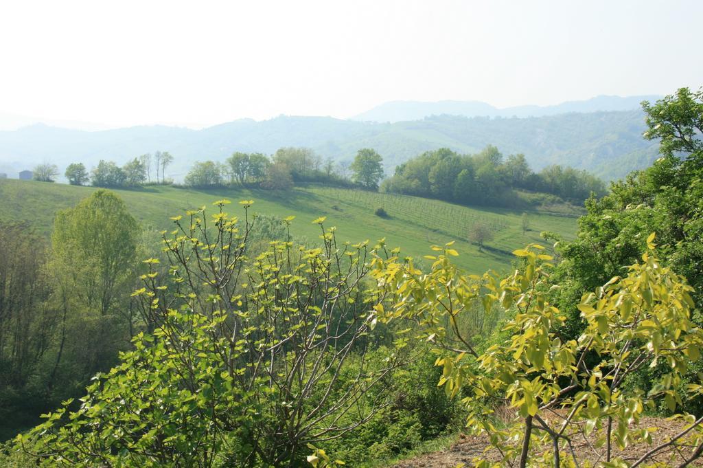 Casa Dell' Abbondanza B&B Agriturismo Vigoleno Exteriér fotografie