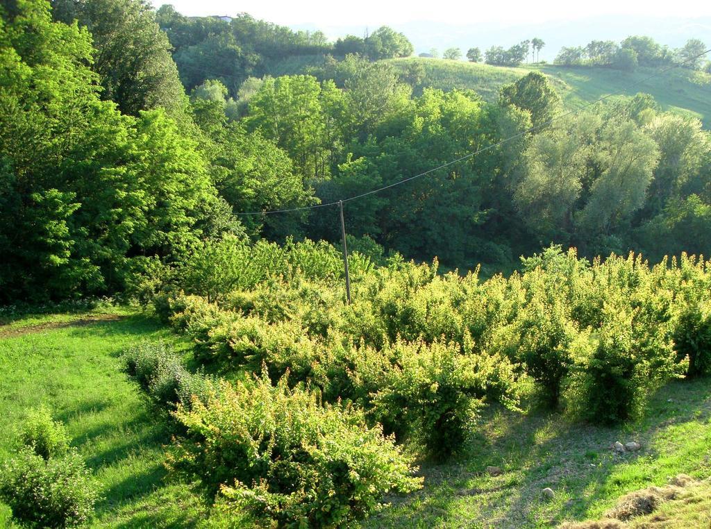 Casa Dell' Abbondanza B&B Agriturismo Vigoleno Pokoj fotografie