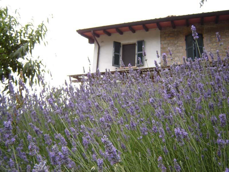 Casa Dell' Abbondanza B&B Agriturismo Vigoleno Exteriér fotografie